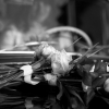 img_8054